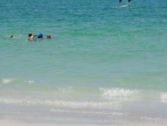 Siesta Public Beach, click on picture to see the dolphin!