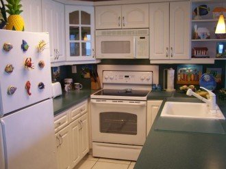 Kitchen features new refrigerator, oven, range, microwave and dishwasher.