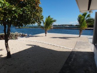 1758 Palm Point #1