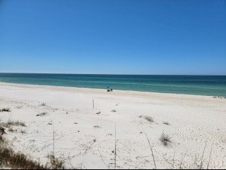Sandy Footprints Beach March 2022