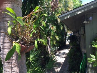 Tropical Hideaway (2/1.5) Bungalow - MONTHLY Pet Friendly Fully Furnished rental #37