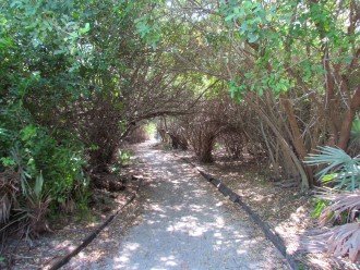 Walking Path to a Secluded Beach Area