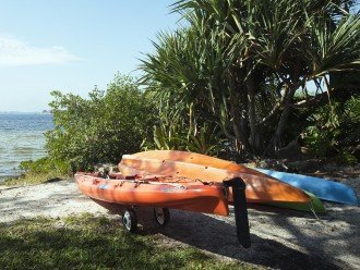 Take out the fishing kayak or the other kayaks to paddle with dolphins, manatees