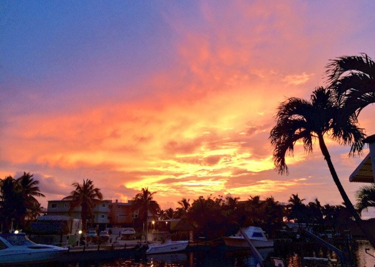 Amazing sunsets await you at the end of your day in The Florida Keys!