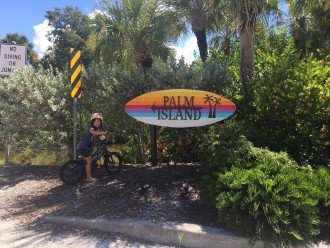 Palm Island is the "Heart of Siesta Key"