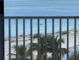 Beautiful Beach Front condo - Direct Facing Gulf View #3