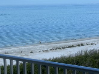 Beautiful Beach Front condo - Direct Facing Gulf View #4