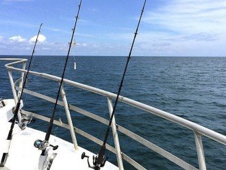 Deep Sea fishing available out of Port Canaveral 1 mile north