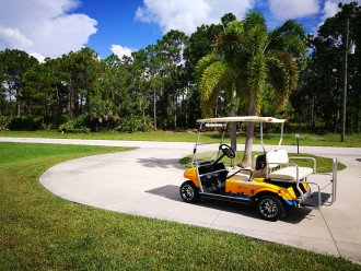 Many local golf courses to suit all abilities