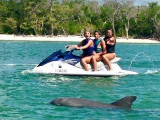 Water sports within a few minutes. Explore wildlife and the beauty of the bays.