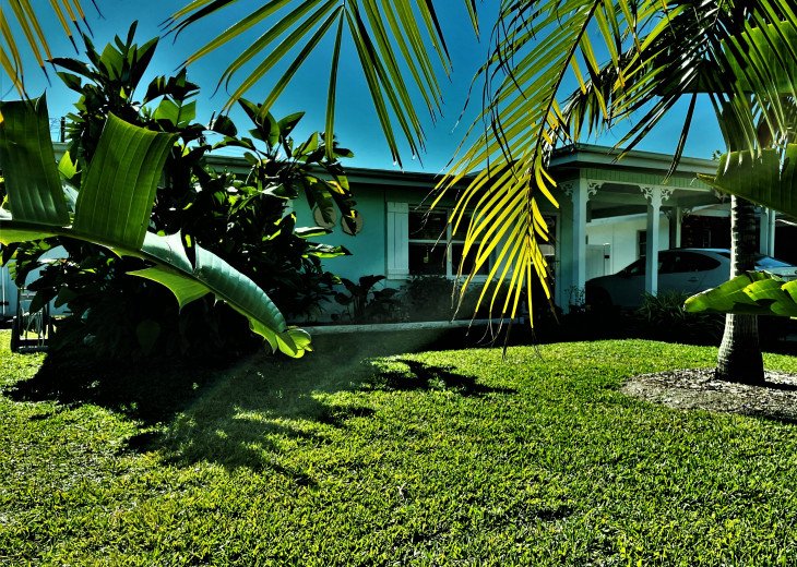 Front Lawn