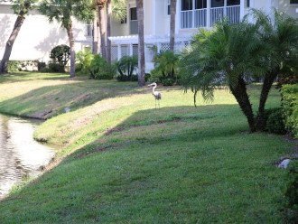 Ground unit Pool 10 Min to beach on golf course #1
