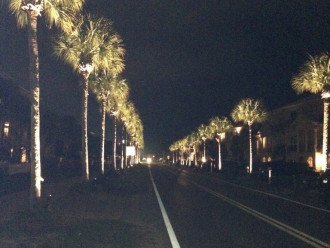 Lighted palm trees on Scenic Gulf Drive