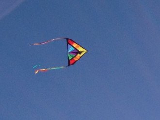 Relax and Fly a Kite