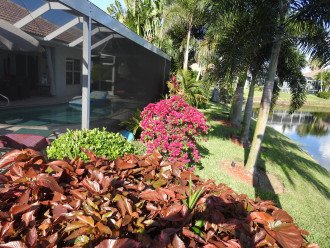 Dream Villa Escape To Paradise Naples Lakeview, private Pool, free HighSpeedWiFi #1