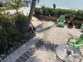 Our unique shell front yard just steps to the Gulf