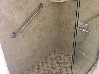 Handicap bar in shower
