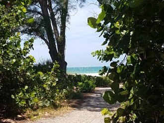 Path to beach - only 100 yards to paradise!