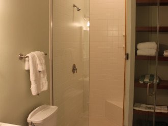 Bonus bathroom upstairs