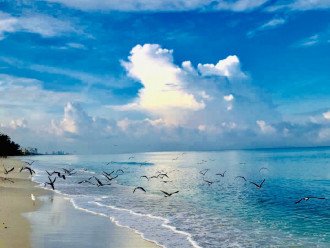 SPECIAL EASTER RATE !!VANDERBILT BEACH!! BEACH, OCEAN, SUN & FUN, LIFE & LEISURE #27