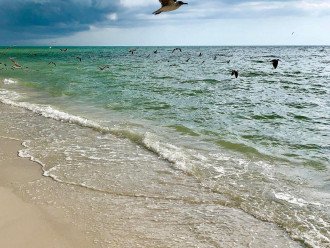 SPECIAL EASTER RATE !!VANDERBILT BEACH!! BEACH, OCEAN, SUN & FUN, LIFE & LEISURE #30