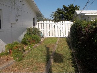 Side yard and gate, hedge of jasmine covered chain link!