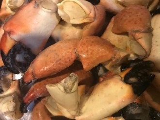 Stone Crab Season: Oct 15 - May 15
