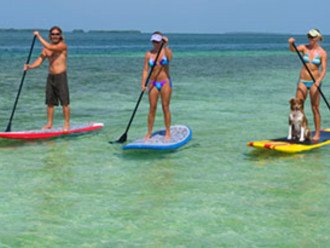 Paddle board in the ocean or in the canal!