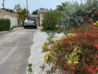 Venice Island, steps from beach and down-town, surrounded by beautiful garden #2