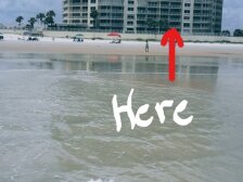 GORGEOUS DIRECT OCEANFRONT # 204/SMALL PETS WELCOME/ 5*
