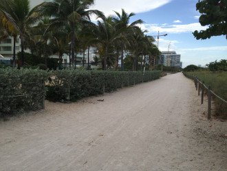 Condo on the beach, Surfside, Miami Beach, View on the ocean #1