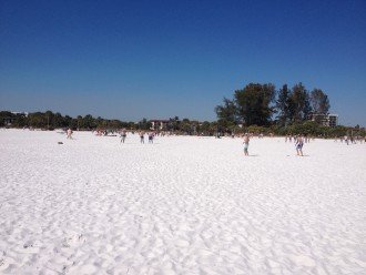 The sand is 99% quartz, which makes for an ultra soft, pure white sand.