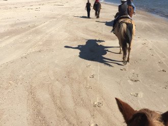 Horseback riding on the beach (South Cape)