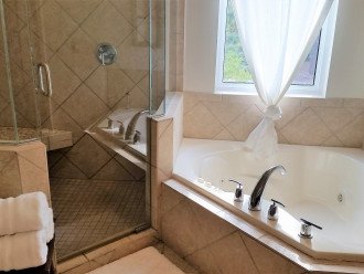 Two-person shower and jacuzzi tub in master suite.