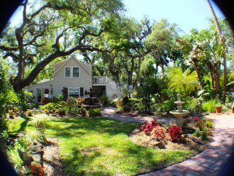 Nine gorgeous live oaks drip with moss and keep the gardens cool!