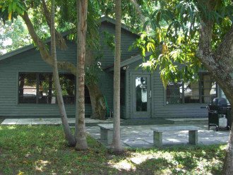 Mango House: Pet friendly, must love trees #6
