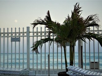 Directly on Ocean, Oceanfront views all windows & Balcony Beautifully Furnished #7
