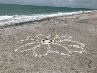 Random shell art at Englewood Beach