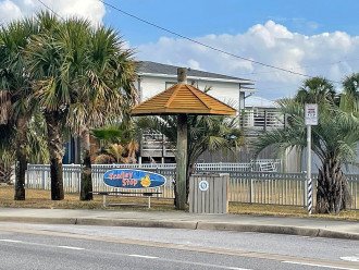 Great updated beach cottage! Just steps from the Gulf of Mexico! #36