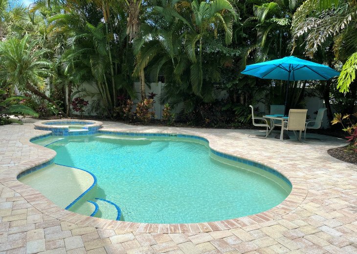 Warm up this winter in this large single family home - pool in full sun #1