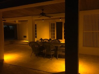 Turtle safe patio lights.