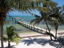 Best location in the Keys, 150-foot dock, coconut palms on the beautiful beach.