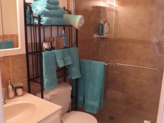 Master Ensuite bath with large shower.
