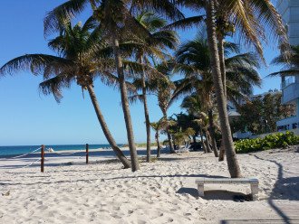 BEACH Location, 2B/2B Condo, North of Fort Lauderdale #5
