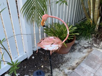 A Flamingo found in back ornamental beds