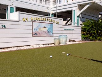 Putting green for the golfer or the whole family