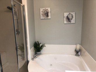Master Bath Shower and Jacuzzi Tub