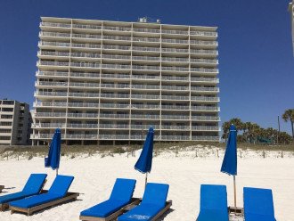 View of the D building from the beach