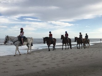 Horseback riding on Cape San Blas beach - starts at Salinas Park