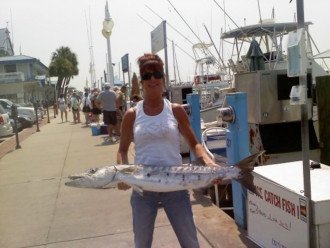 Great Fishing Near By. That's a Barracuda That I Caught On A Local Charter Boat.